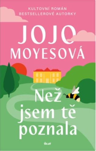 Než jsem tě poznala - Jojo Moyesová