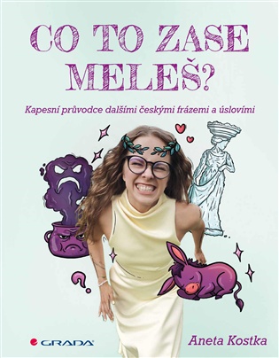 Co to zase meleš?: Kapesní průvodce dalšími českými frázemi a úslovími - Aneta Kostka