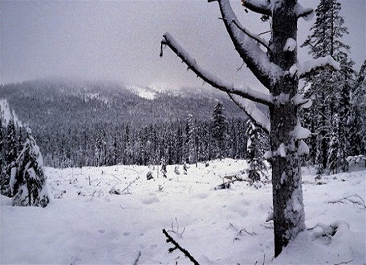 Faravidova říše současného severobotnického spisovatele Bengta Pohjanena je poetickým příběhem o cestách čarodějů a králů na evropském Severu poloviny 11. století.