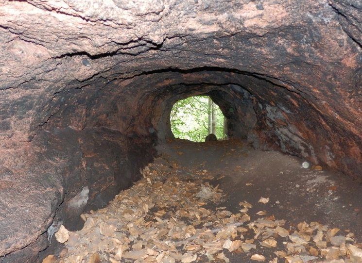 Zkušená prozaička Jakuba Katalpa (vlastním jménem Tereza Jandová), oceňovaná především za svůj předchozí román Němci (2012), právě vydává v nakladatelství Host román Doupě. Méně zkušená prozaička Ivana Myšková, oceňovaná za svou prozaickou prvotinu Nícení (2012), v květnu tohoto roku ve stejném nakladatelství vydala povídkovou knihu Bílá zvířata jsou velmi často hluchá. Ve stejný rok vydaly předchozí tituly, ve stejný rok vydávají nové.