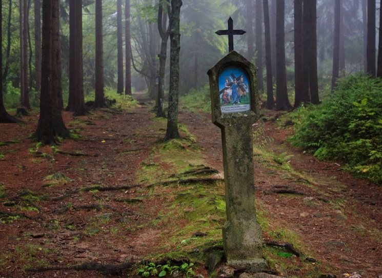 Za podpory města Plzně nachystali autoři knihy výstavu Šumava Františka Malocha. Jde o ochutnávku toho nejlepšího z knihy + něco navíc, kupříkladu jeden panel je věnovaný vztahu Františka Malocha k městu Plzni.