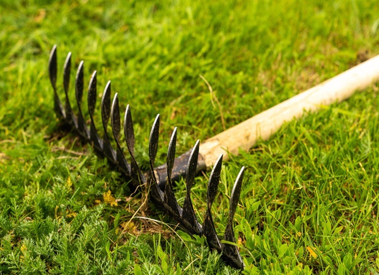 Listí padá, Argo vydává