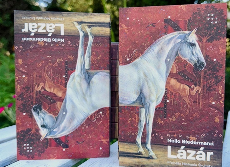Připouštím, že “kniha, která mě zasáhla” je obvyklé klišé těch, kteří se nemohou vymáčknout a hledají slova, která sama od sebe nepřicházejí. Přesto si ale stojím za tím, že zde je na místě. Lázár vás totiž skutečně zasáhne. Aniž byste to čekali. Tématem, svou čtivostí, některými scénami, ale také tím, kdo vlastně tuto knihu napsal.